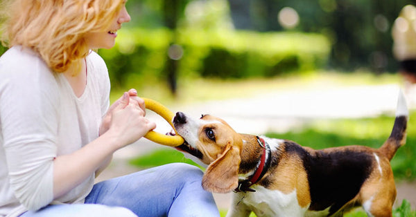 Do You Put On A Bra To Walk Your Dog? - Curvy Bras