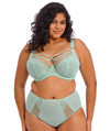 Elomi Brianna Underwire Plunge Bra - Frozen Bras