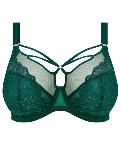 Elomi Brianna Underwire Plunge Bra - Rainforest Bras