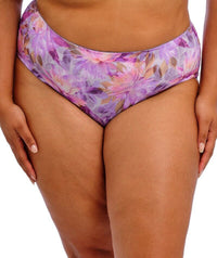 Goddess Kayla Brief - Lotus