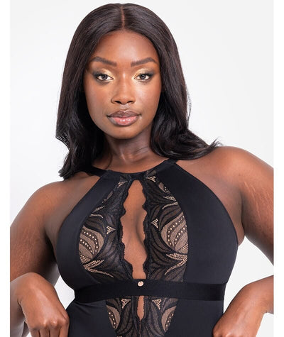 Scantilly Indulgence Stretch Lace Bodysuit - Black/Latte Bodysuits & Basques