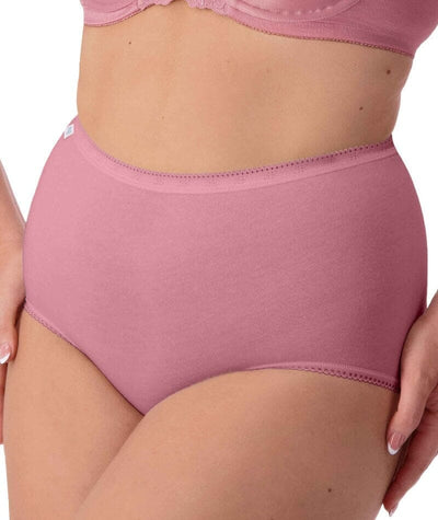 Sloggi Maxi Brief 2 Pack - Rose/Rosebloom Knickers