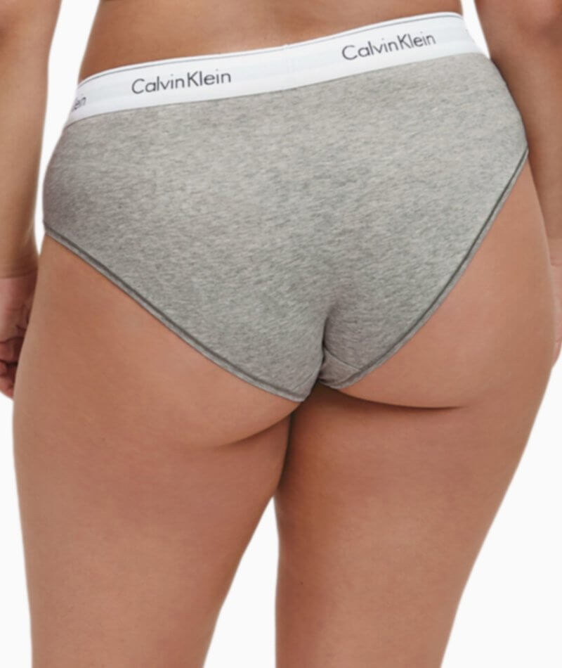 Plus Size Calvin Klein Modern Cotton Hipster Panty QF5118