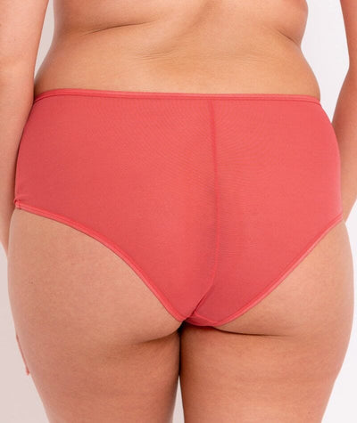 Curvy Kate Victory Short - Papaya Knickers