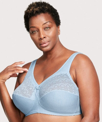Womens Plus Size Bras Full Coverage Lace Underwire Unlined Bra Up To J Sky  Blue 42F