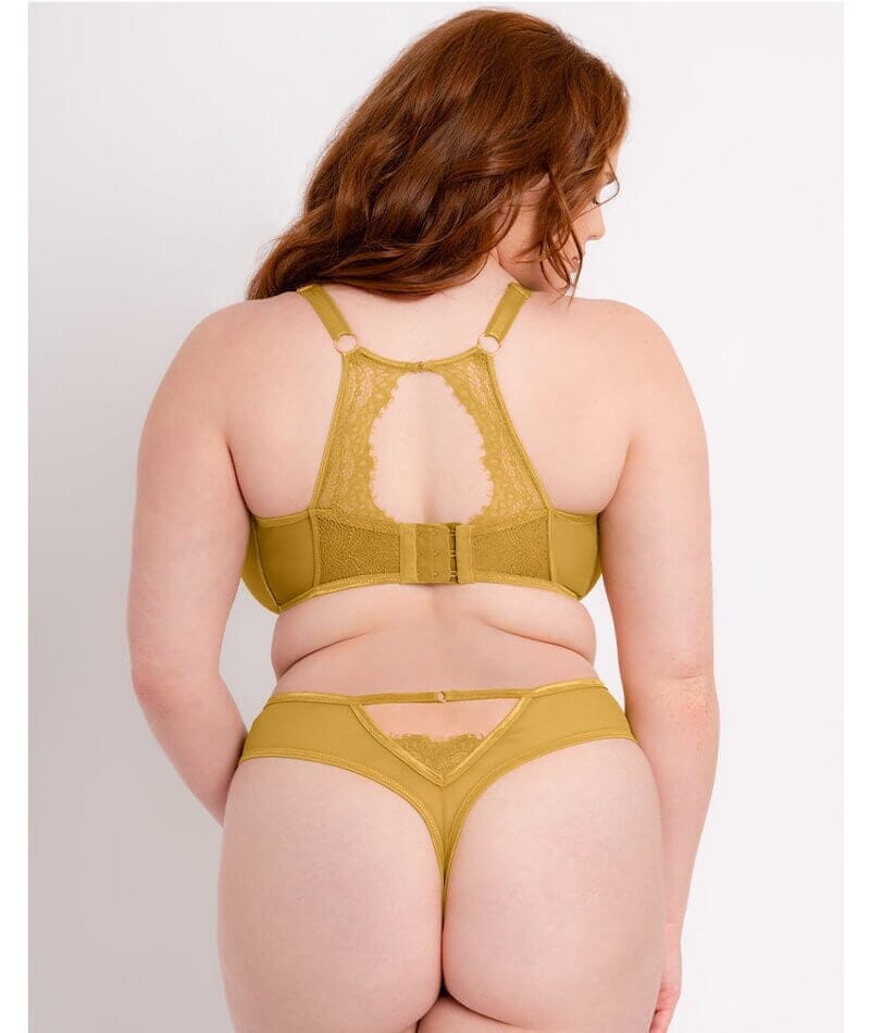Plus Size Yellow Bra And Panties Sets